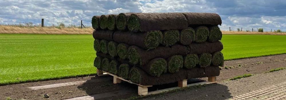 Trawa z rolki gotowa do transportu – świeża darń od dystrybutora Zielone Rolki